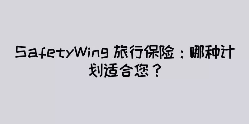 SafetyWing 旅行保险：哪种计划适合您？