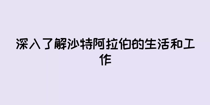 深入了解沙特阿拉伯的生活和工作