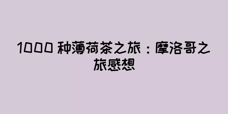 1000 种薄荷茶之旅：摩洛哥之旅感想