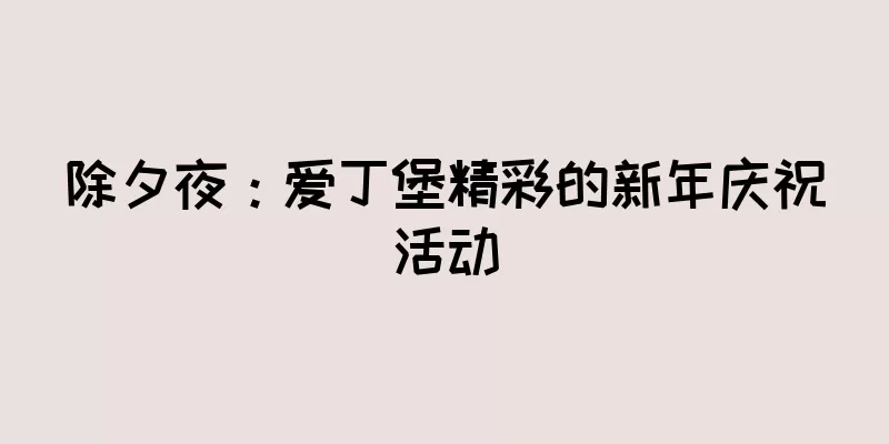 除夕夜：爱丁堡精彩的新年庆祝活动