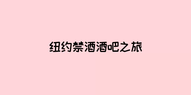 纽约禁酒酒吧之旅