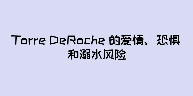 Torre DeRoche 的爱情、恐惧和溺水风险