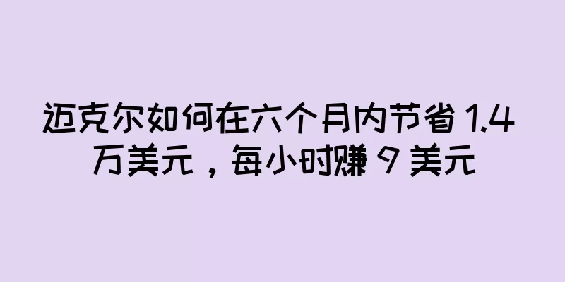 迈克尔如何在六个月内节省 1.4 万美元，每小时赚 9 美元
