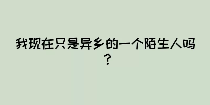 我现在只是异乡的一个陌生人吗？