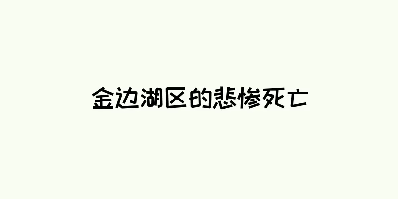 金边湖区的悲惨死亡